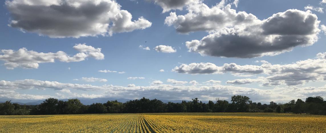 Paysage du Lauragais, près de Toulouse.
