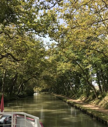 Sous les arbres du Canal du midi